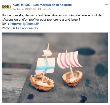 lareinedesamismots-facebook-noisettes-koki-3