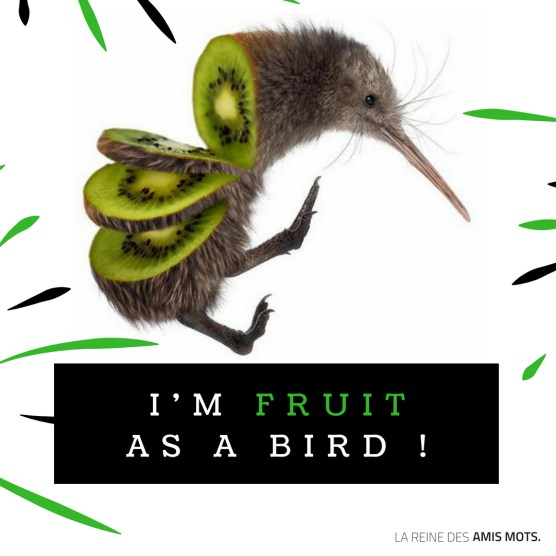 lareinedesamismots-fruit-as-a-bird.jpg