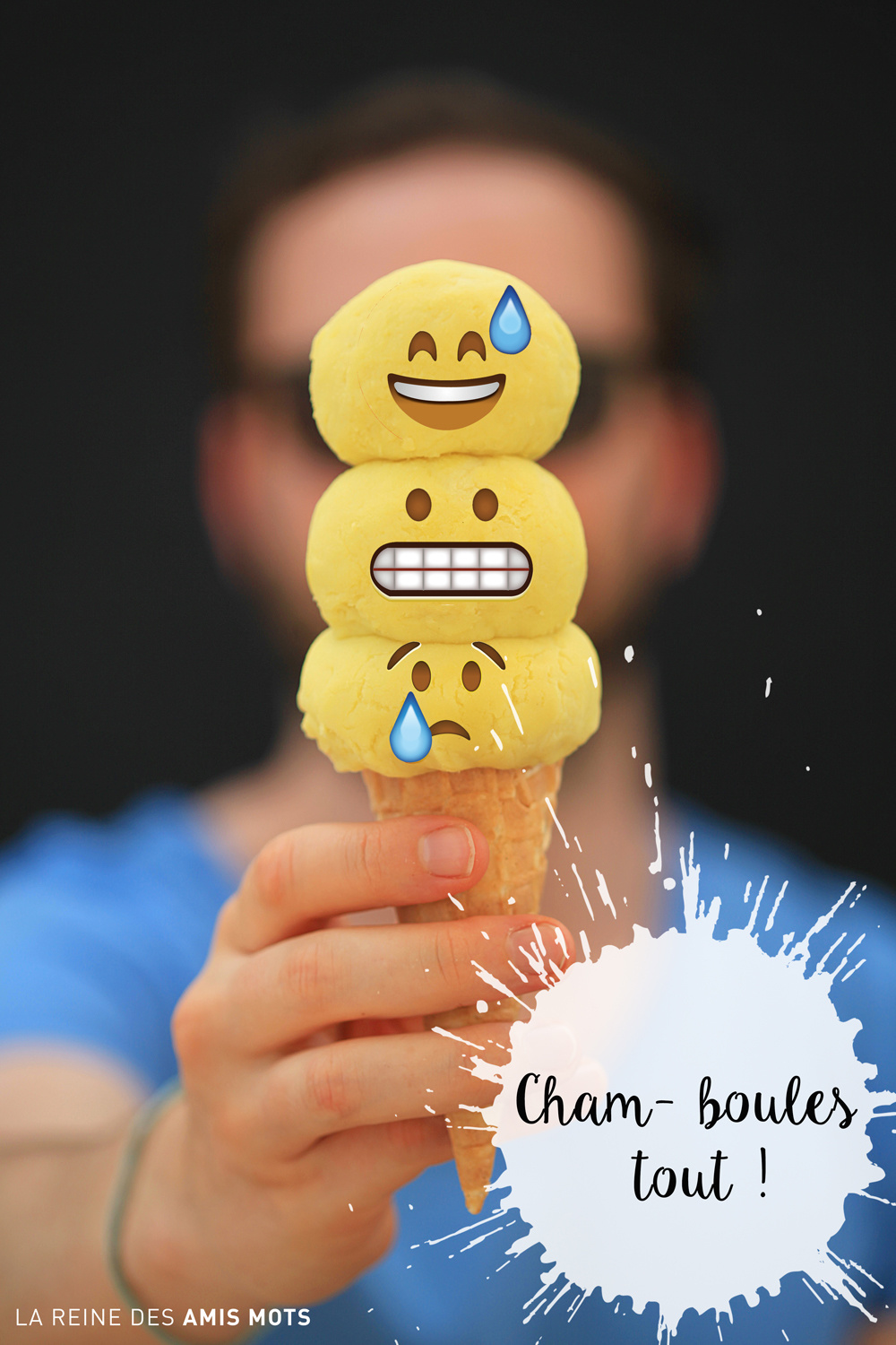 EMOTI-CÔNES : "Cham-boules tout !" I © La reine des amis mots (2018)